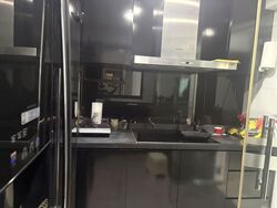 Blk 1A The Pinnacle@Duxton (Bukit Merah), HDB 4 Rooms #548570741